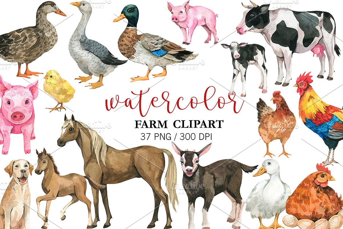 Watercolor Farm animals clipart, PNG, an Animal Illustration by PatternPalette (Photo 1 of 5)