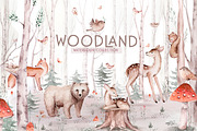 Watercolor woodland collection, an Animal Illustration by Peace ART (Thumbnail 1 of 14)
