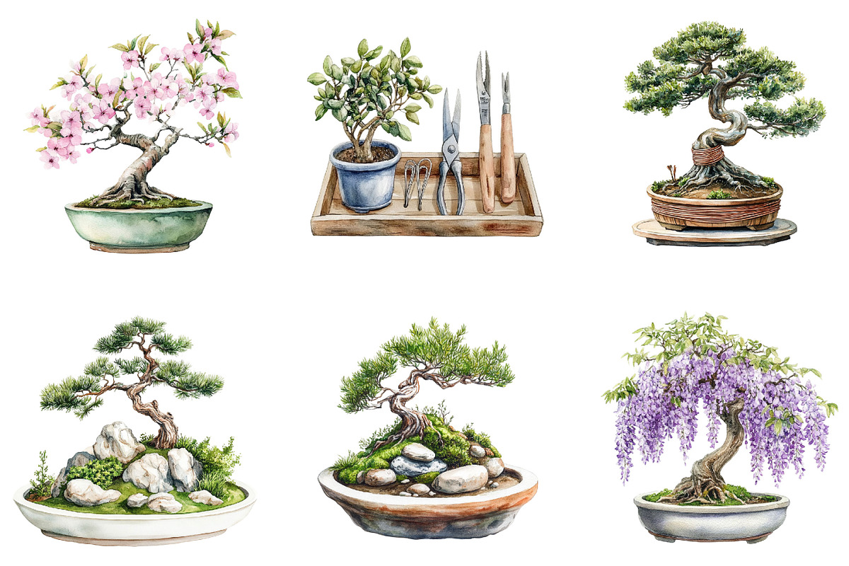 Bonsai Tree Clipart Bundle, a Seasonal Illustration by Designking (Photo 3 of 5)
