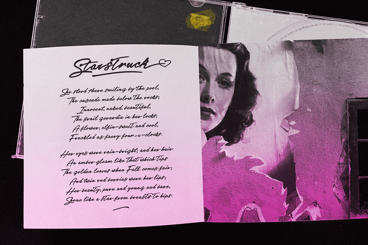 Sleeve Notes: Analogue Script Font, a Script Font by Wingsart Studio (Photo 12 of 12)