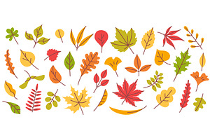Autumn leaves. Fall season leaf, an Illustration by winwin.art