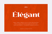 Jelista, a Serif Font by Ardyanatypes (Thumbnail 6 of 12)