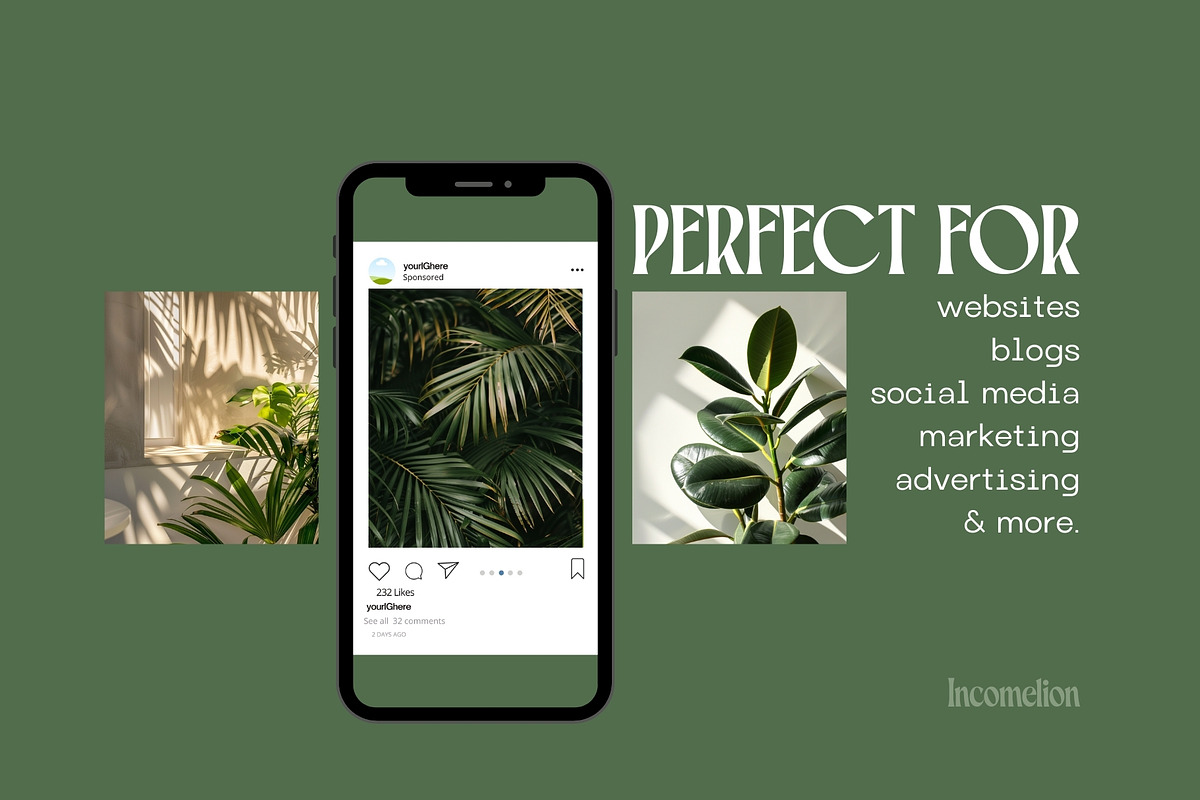 135 Green Leaves Stock Photos, a Nature Photo by Incomelion (Photo 4 of 7)