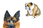 Watercolor cute dogs, an Object Graphic by KomtsyanTatyanaArt (Thumbnail 2 of 3)