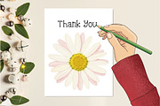 Daisy Flower Watercolor Clipart, an Illustration by Creative Art (Thumbnail 4 of 7)