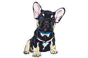 French Bulldog puppy vector, an Animal Illustration by kavalenkava