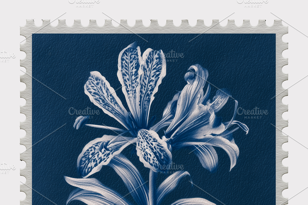 Lupa Co · Cyanotype Botanical Stamps, a Texture Illustration by milatovar (Photo 10 of 18)