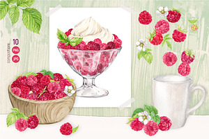 Garden Raspberry. Watercolor Set