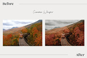 15 Autumn Inspired Lightroom Presets, a Preset Add-On by HipFonts (Thumbnail 7 of 10)