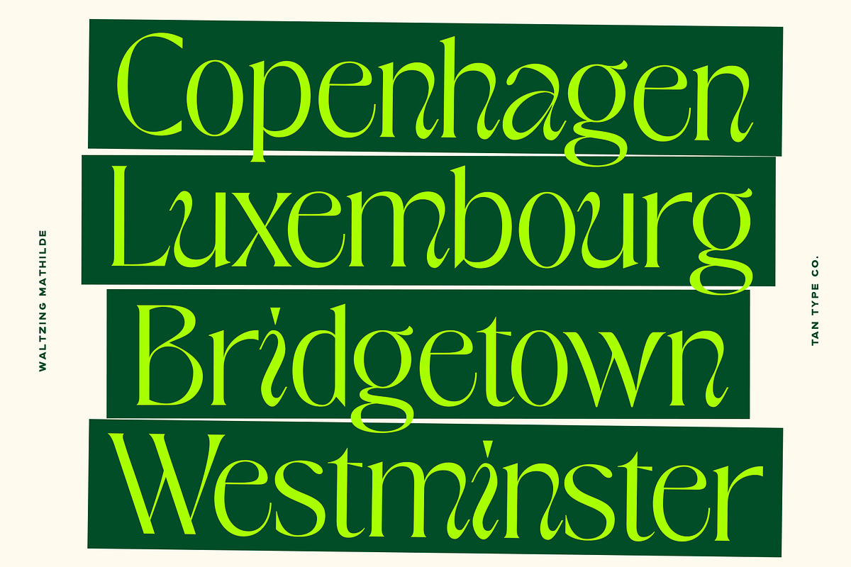 TAN - WALTZING MATHILDE, a Font by TanType (Photo 3 of 10)
