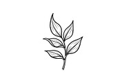 Hand Drawn Leaf Line Art Bundle, an Illustration by hafijul (Thumbnail 45 of 51)