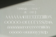 Broken Walken - Modern Font, a Serif Font by Muflieart (Thumbnail 10 of 10)