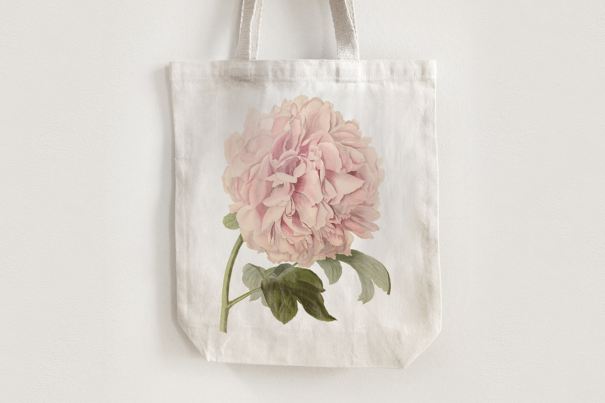 Vintage Illustrations of Flowers, an Illustration by Graphic Goods (Photo 8 of 9)