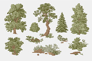 Woodland, a Decorative Illustration by olga.korneeva (Thumbnail 3 of 12)