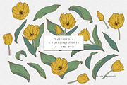 Tulip vector clipart & patterns, a Pattern Graphic by Palette Pursuit (Thumbnail 2 of 7)