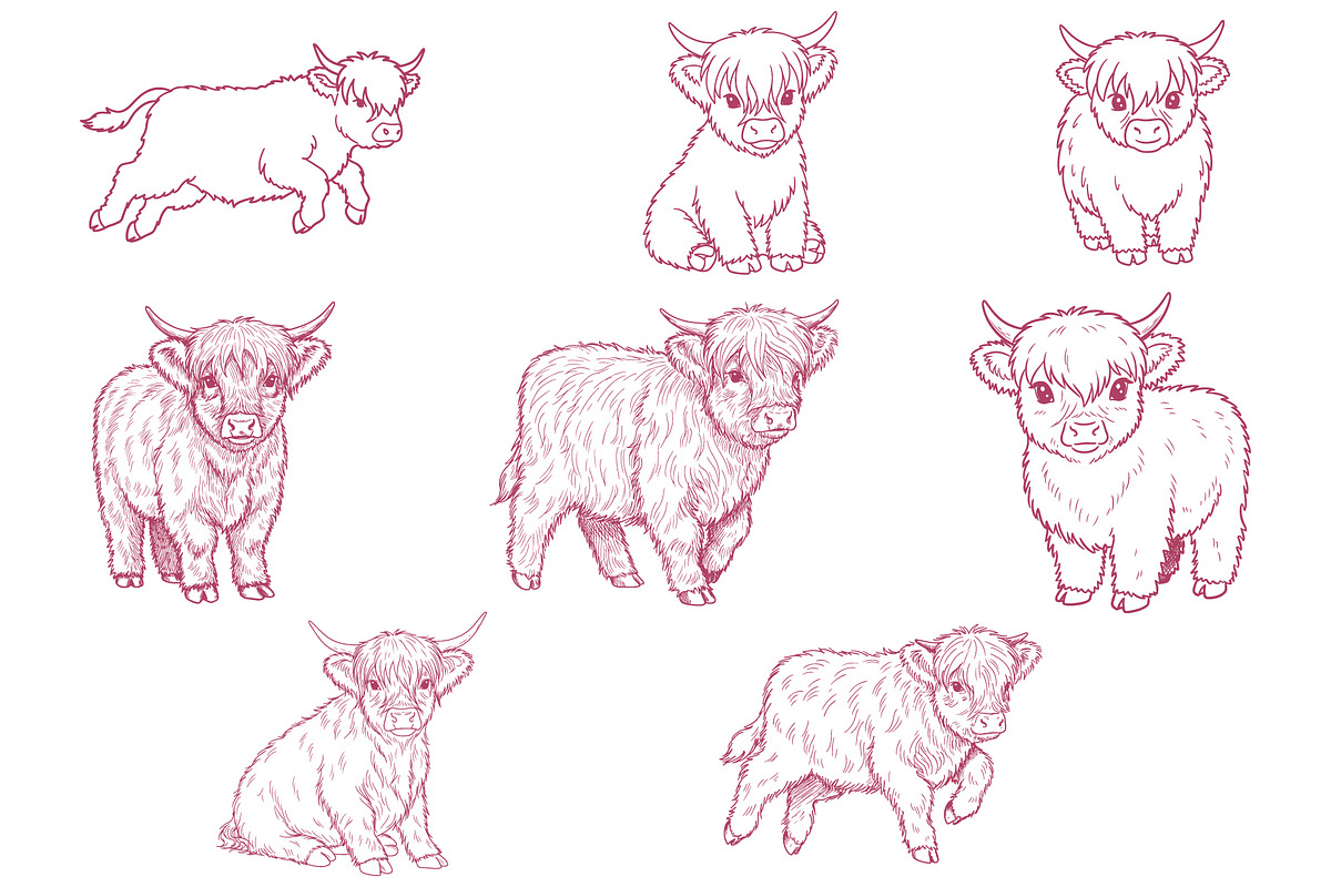 Adorable Baby Highland Cow Vector, an Animal Illustration by MkStudio