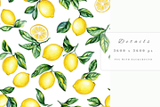 Seamless Citrus Design, a Decorative Illustration by Pati Charm Studio (Thumbnail 5 of 7)