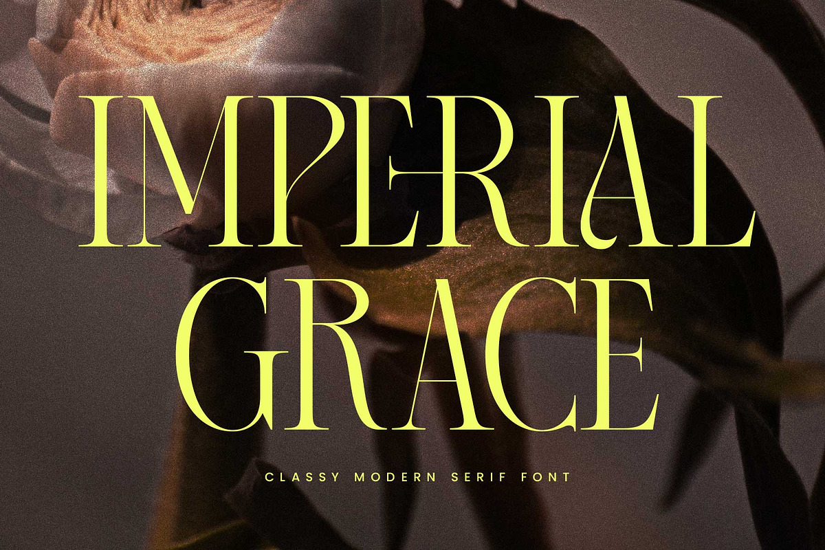 Imperial Grace - Modern Classic, a Serif Font by Novitype (Photo 1 of 12)