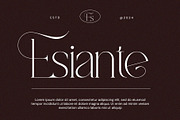 Vamike Serif Font, a Serif Font by Ermedia Studio (Thumbnail 8 of 10)