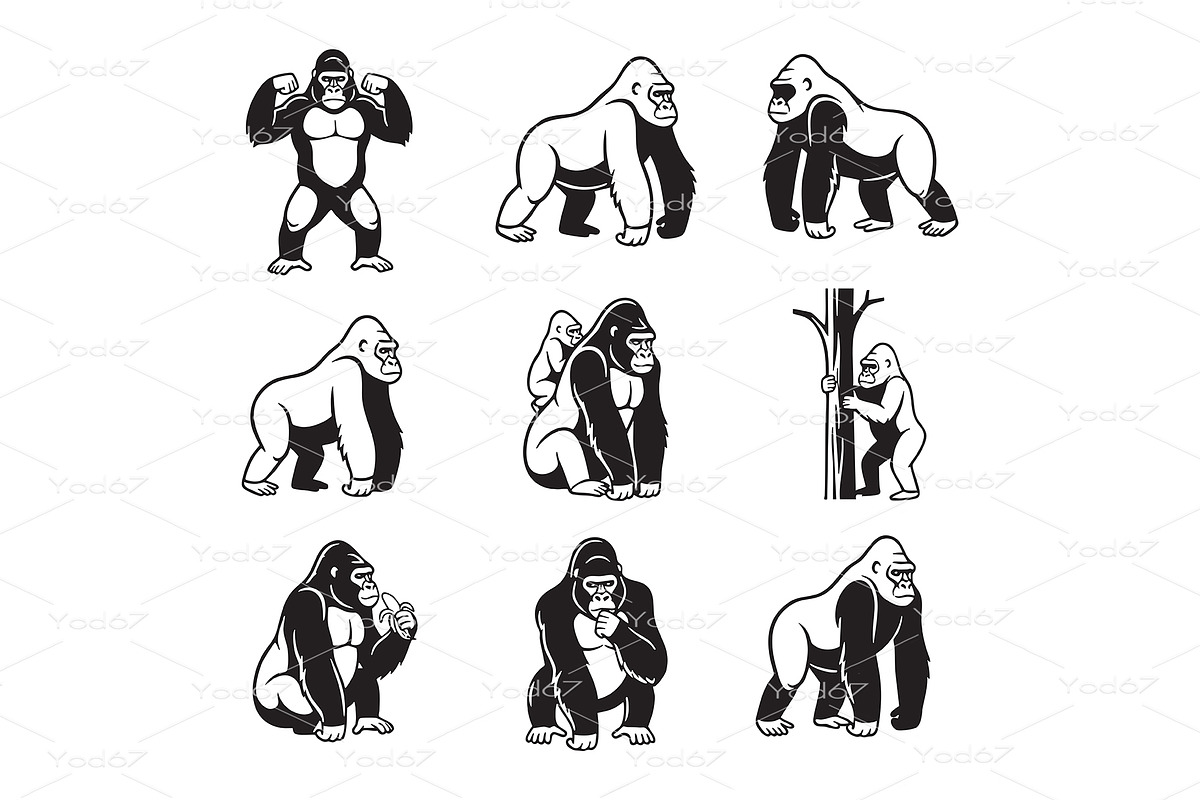 Set of gorilla in cartoon style., an Animal Illustration by yod67