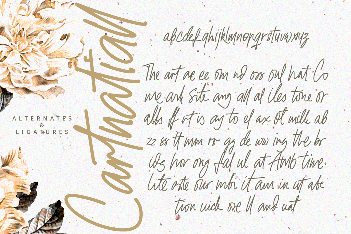 Cartnatiall - A Handwritten Font, a Handwritten Font by overlaytemplates (Photo 5 of 5)