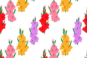 Set Gladiolus Flowers Vector