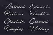 Alander Signature Font, a Script Font by Letteralle Studios (Thumbnail 4 of 7)