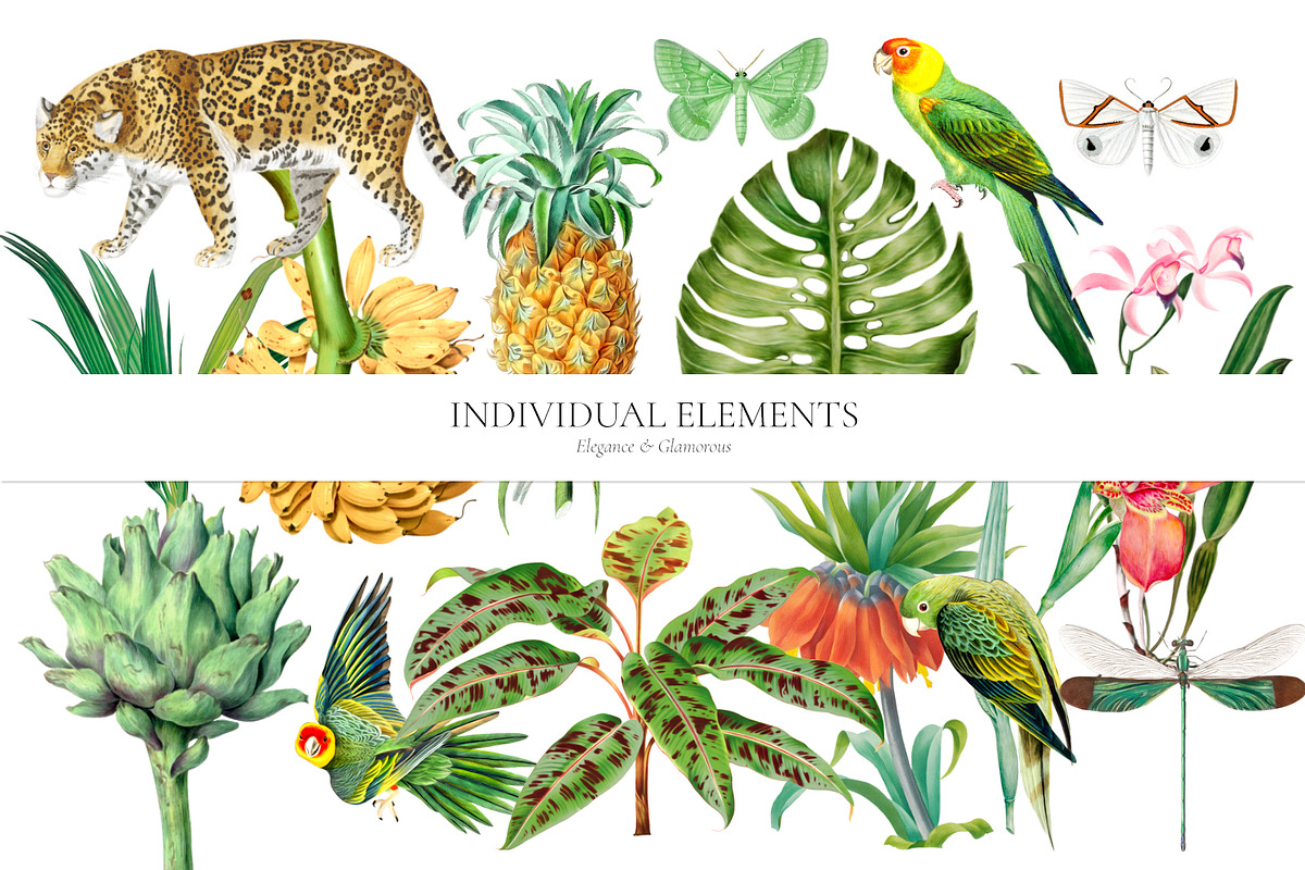 Jungle, Luxurious Cliparts & more!, a Pattern Graphic by Pink Linen (Photo 11 of 11)