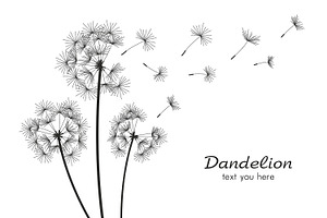 Dandelion + pattern, a Background Graphic by Volyk