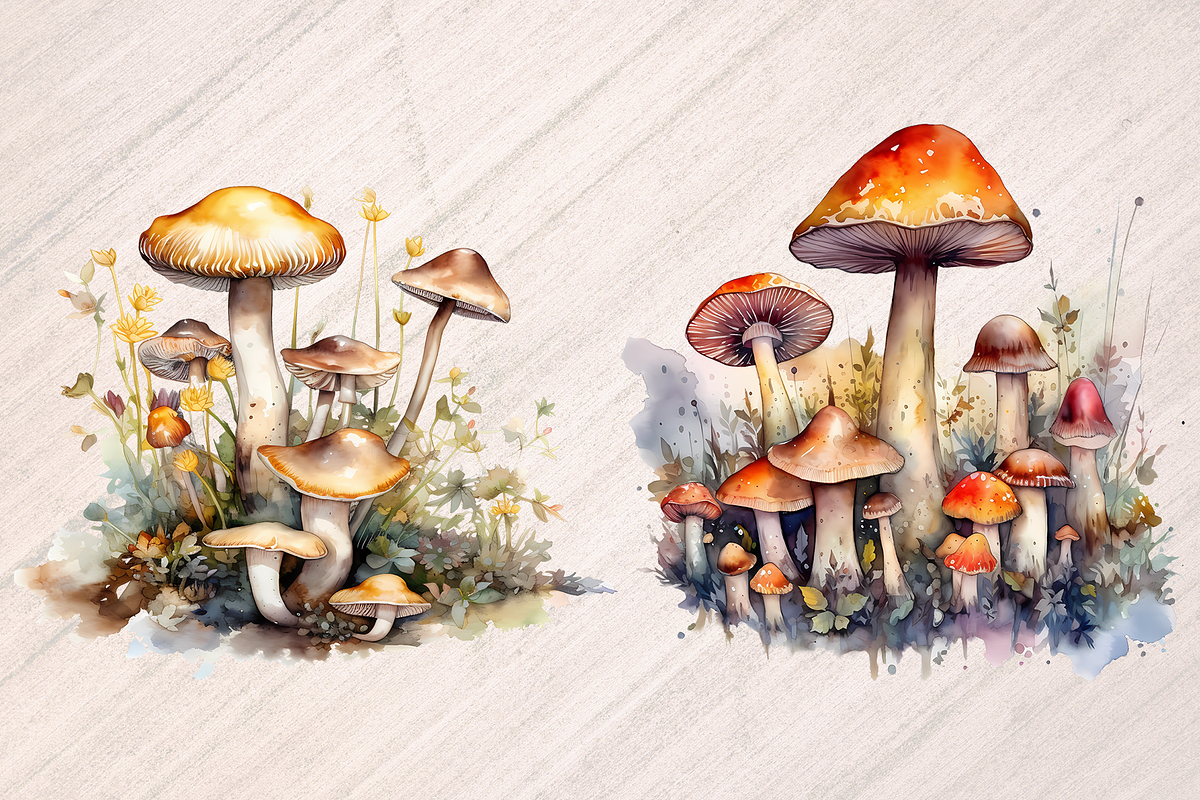 Wild Mushrooms Watercolor Clipart, a Food Illustration by Leakedink (Photo 4 of 4)