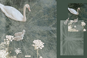 Carved Paper Texture Overlays, a Texture Graphic by Feelsoul (Thumbnail 5 of 31)