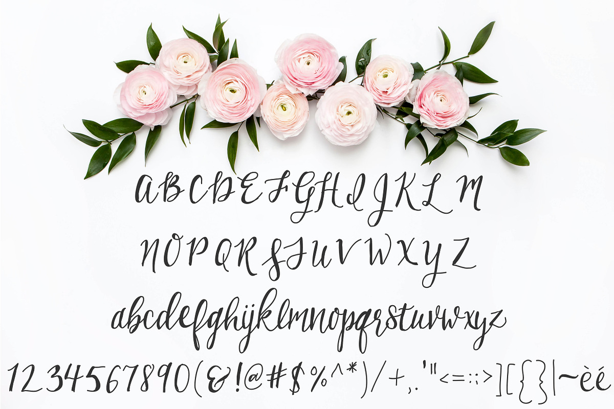 Birchwood Calligraphy Font preview 3