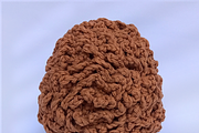 Amigurumi Hedgehog Crochet Pattern, a Pattern Graphic by OkiDocs Resume Templates (Thumbnail 3 of 8)