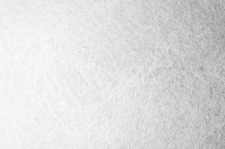 White fur texture full background stock photo containing texture and fur, an Abstract Photo by Igor Sch Photo