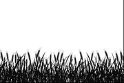 Wheat Field Border Bundle, an Illustration by Designs_River (Thumbnail 5 of 9)