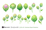 Hand-Painted Artichoke Clipart, a Decorative Illustration by crafty (Thumbnail 6 of 6)