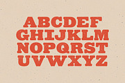 Carbine Typeface, a Slab Serif Font by Tugcu Design Co. (Thumbnail 2 of 3)