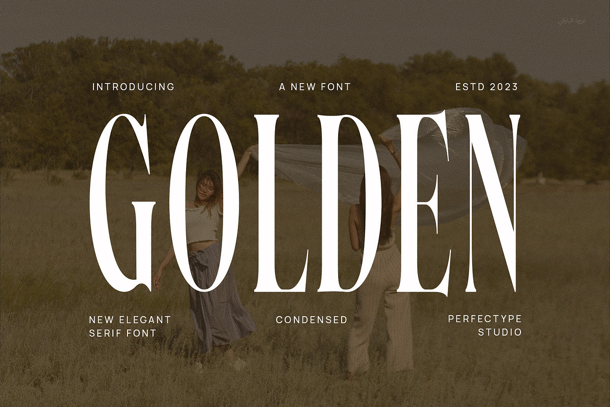 Golden Elegant Serif Font Typeface, a Serif Font by Perfectype (Photo 1 of 6)