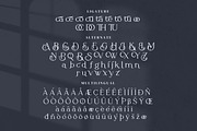 Hitorald Serif Fonts, a Serif Font by mahstudios (Thumbnail 13 of 15)