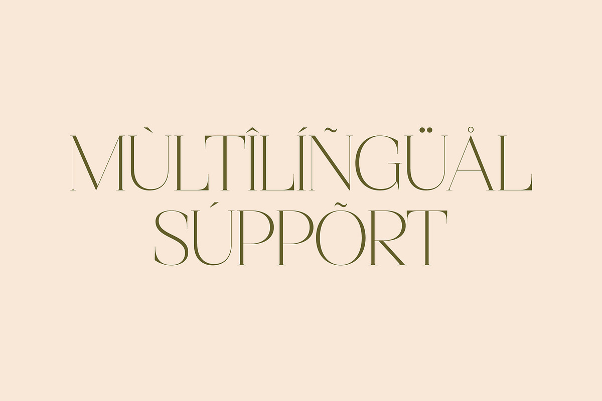 Mosbian Modern Serif Font, a Serif Font by Letterena Studios (Photo 12 of 15)