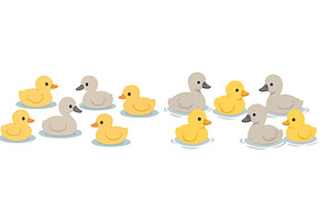 Colorful ducks swim in a pond on a, a Nature Photo by ZinetroN