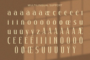 Avenue - Serif Font, a Serif Font by Alpaprana (Thumbnail 10 of 11)