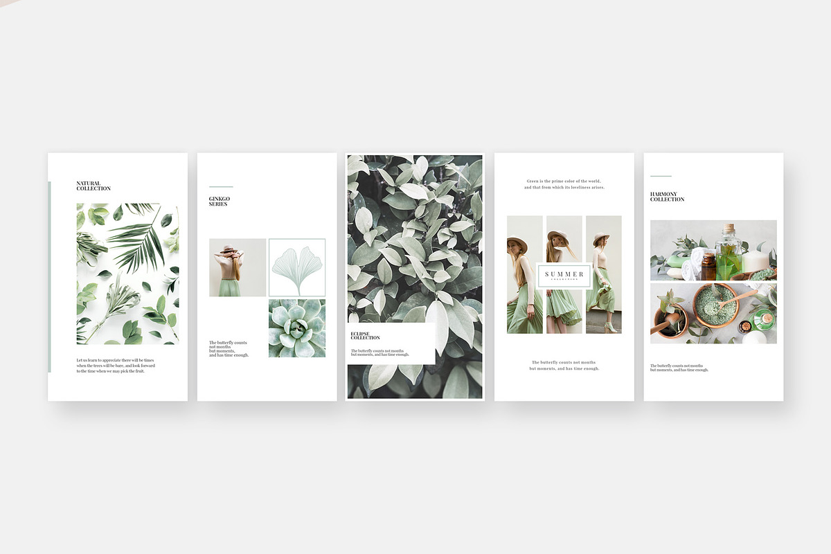 Ginkgo Animated Instagram Stories, a Social Media Template by Studio Sumac (Photo 5 of 6)