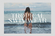 Skyline - Classic Serif, a Serif Font by Mikhail Fukurou (Thumbnail 5 of 10)