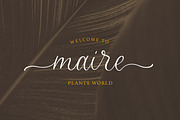Bitterdine - Natural Calligraphy, a Script Font by Sarid Ezra (Thumbnail 7 of 9)