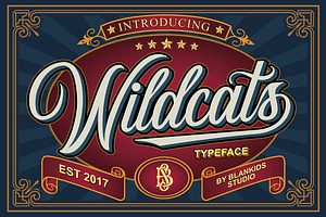 Wildcats Typeface, a Script Font by Blankids Studio