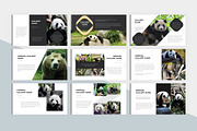 Animal Charity PowerPoint Template, a Presentation Template by litoondev (Thumbnail 5 of 10)
