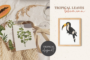 Tropical Leaves Clipart