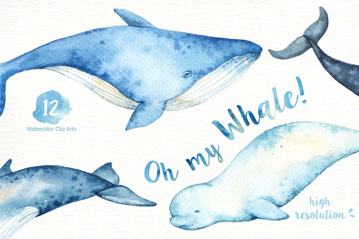 Oh My Whale! Watercolor Clip Arts, an Animal Illustration by everysunsun (Photo 2 of 4)