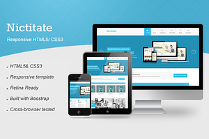 Nictitate-Multi Purpose WP Theme